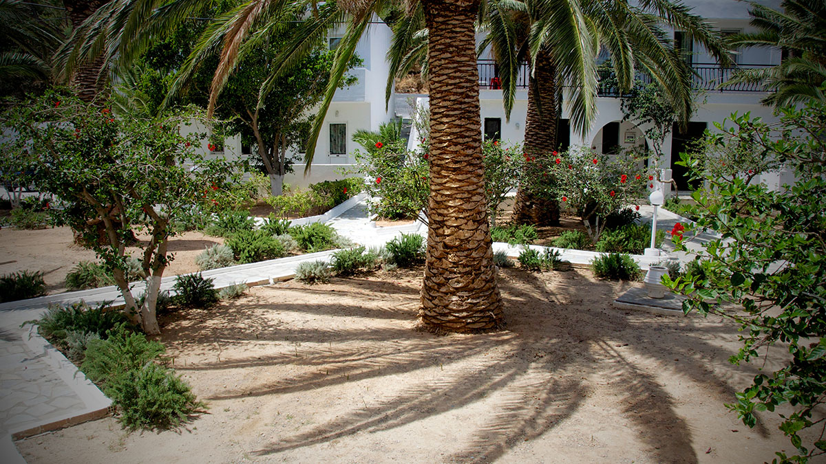 Avra Palm - NR